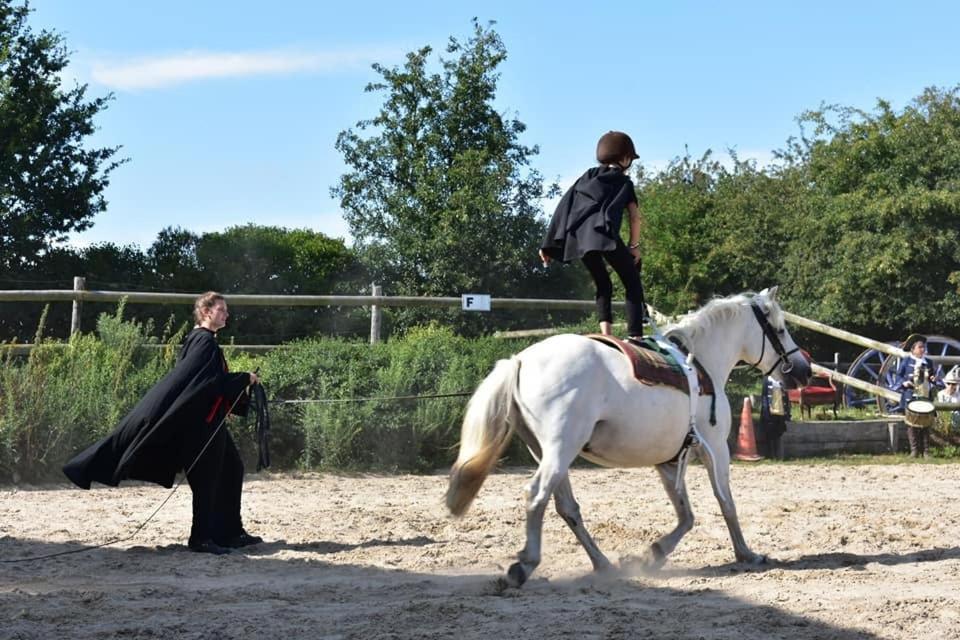 Ecuries Leseigneur - Camping Insolites Bolleville  Екстериор снимка