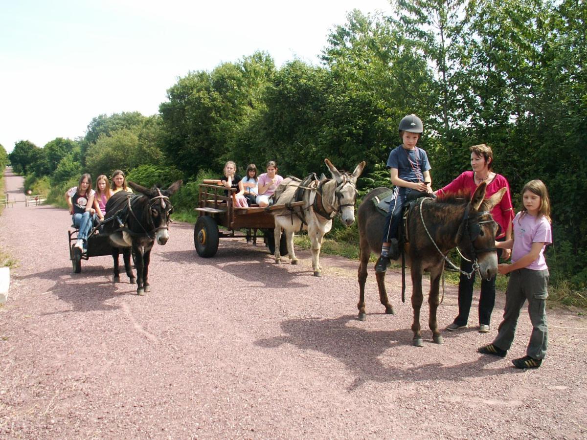 Ecuries Leseigneur - Camping Insolites Bolleville  Екстериор снимка