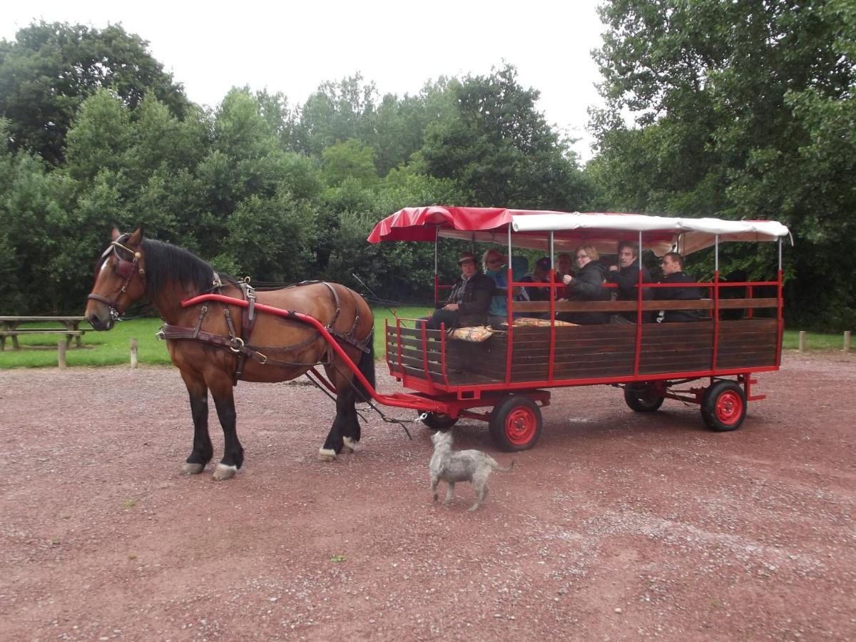 Ecuries Leseigneur - Camping Insolites Bolleville  Екстериор снимка
